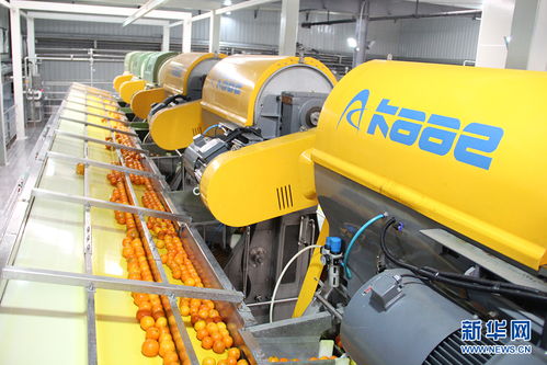 乡味重庆老字号牛肉干的逆生长 电杆用滚焊机的新生